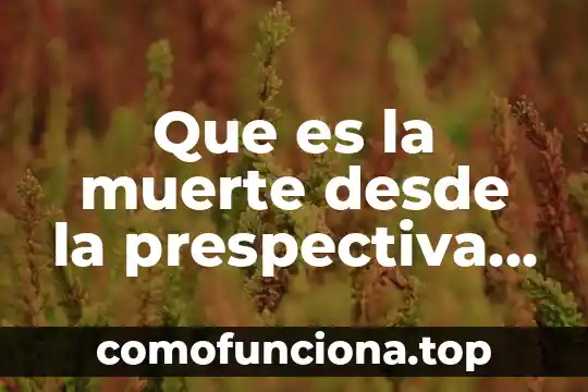 Que es la cultura gay desde el punto cultural 8 Que es la muerte desde la prespectiva cultural