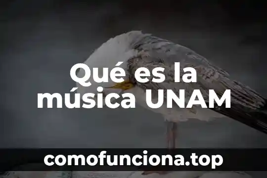 Qué es la música y sus principios básicos 8 Qué es la música UNAM
