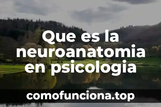 Que es el teatro griego y sus partes 6 Que es la neuroanatomia en psicologia