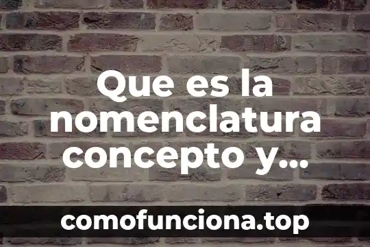 Qué es una gráfica diferencial concepto 6 Que es la nomenclatura concepto y definicion