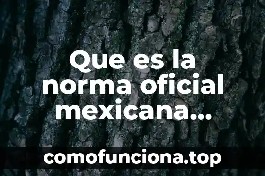 Que es la comida tradiconal mexicana 3 Que es la norma oficial mexicana nom-059-ecol-2001