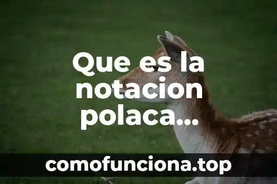 Que es realización o implementacion en programacion 4 Que es la notacion polaca programacion