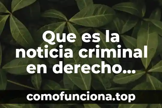 Que es figura juridica en derecho 5 Que es la noticia criminal en derecho penal mexicano