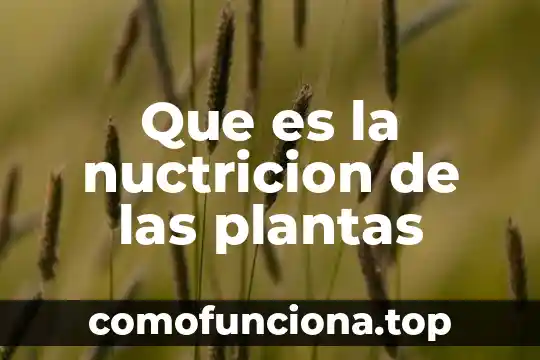 Qué es un inhibidor B en plantas 5 Que es la nuctricion de las plantas