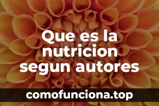 Que es el siglo de oro y autores mas reprecentativos 5 Que es la nutricion segun autores