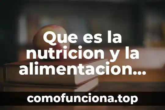Qué es estilo de vida saludable definición 7 Que es la nutricion y la alimentacion saludable