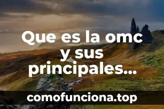 Qué es la piedra del sol y sus características principales 3 Que es la omc y sus principales funciones