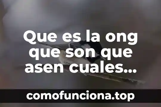 Que es ser tata en santería 8 Que es la ong que son que asen cuales son