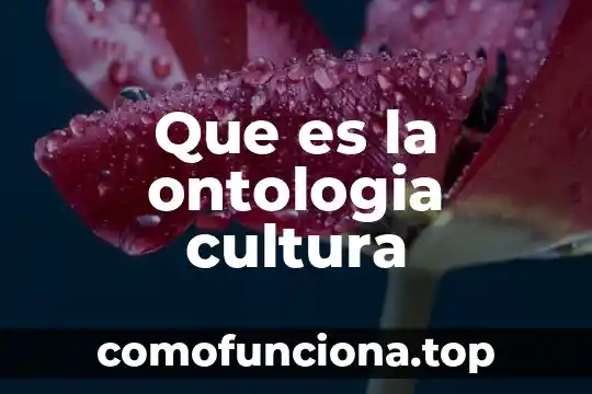 Qué es el amor cultura colectiva 8 Que es la ontologia cultura