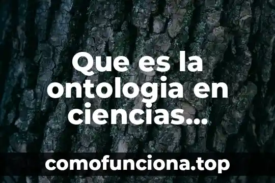 Qué es ontología y ejemplos 3 Que es la ontologia en ciencias sociales