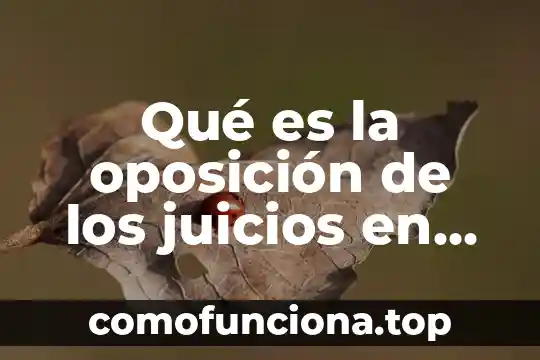 Que es lengua en logica 8 Qué es la oposición de los juicios en lógica