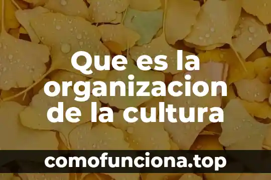 Qué es conocimiento prefilosófico en la cultura mesopotámica 4 Que es la organizacion de la cultura