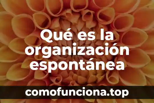 Que es la organizacion de un animal 5 Qué es la organización espontánea