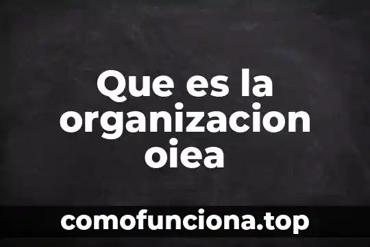 Que es el la organizacion en la danza 6 Que es la organizacion oiea