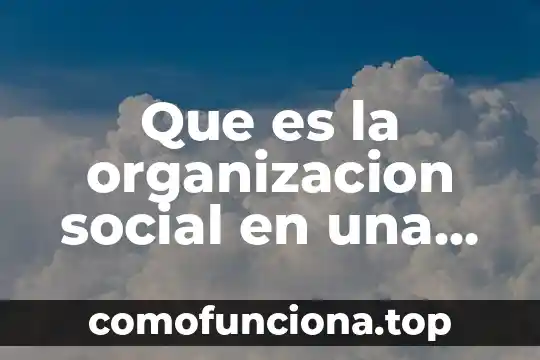 Que es el la organizacion en la danza 8 Que es la organizacion social en una ciudad