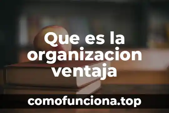 Que es el la organizacion en la danza 7 Que es la organizacion ventaja