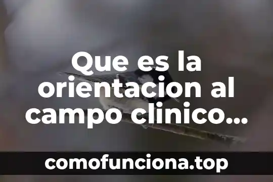 Que es orientacion institucional significado 3 Que es la orientacion al campo clinico de enfermeria