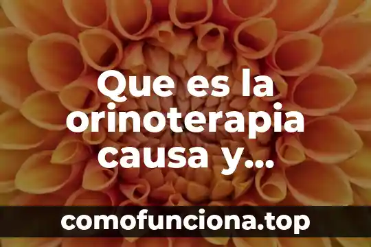 Que es el ebola y que lo causa 4 Que es la orinoterapia causa y consecuencias