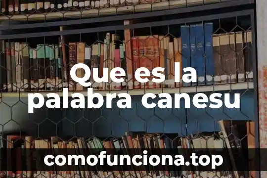 Qué es el significado de la palabra botín 5 Que es la palabra canesu