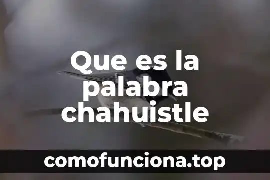 Que es significa la palabra voluntario 3 Que es la palabra chahuistle