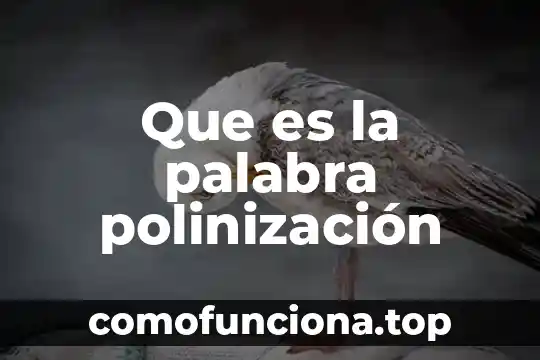 Qué es palabra infinitiva 6 Que es la palabra polinización