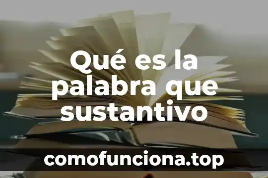 Que es significa la palabra voluntario 8 Qué es la palabra que sustantivo