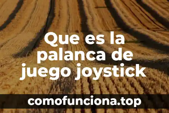 Que es el juego snake 3 Que es la palanca de juego joystick