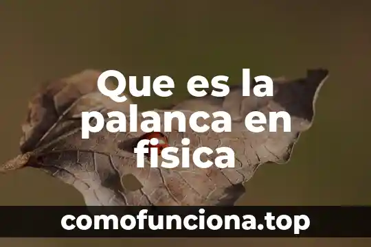 Qué es la física y su significado 6 Que es la palanca en fisica