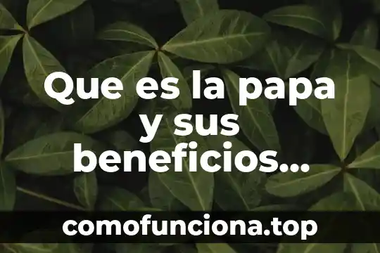 Que es machista ejemplos 6 Que es la papa y sus beneficios informacion corta