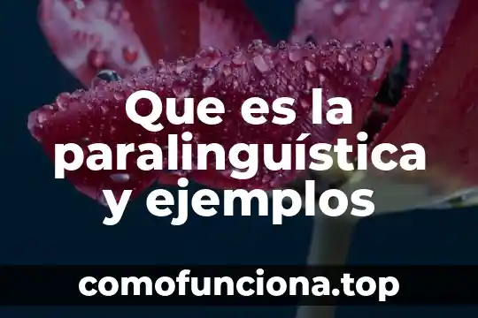 Que es censura significado 3 Que es la paralinguística y ejemplos