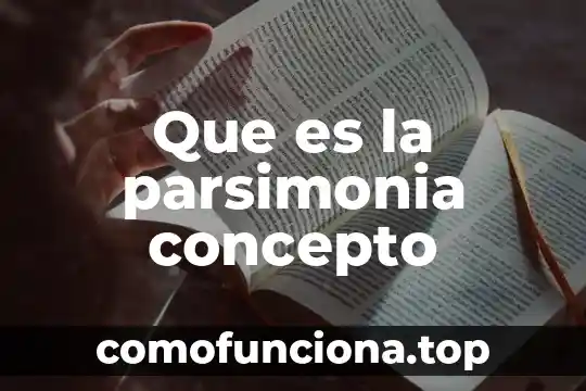 Qué es fonología concepto 3 Que es la parsimonia concepto