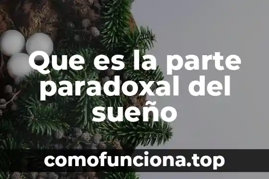Que es el principio de instancia de parte agraviada 8 Que es la parte paradoxal del sueño
