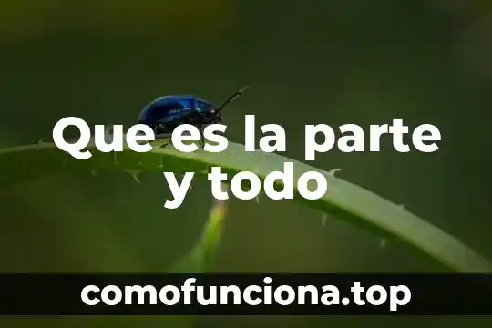 Aliat que es arquitectura 5 Que es la parte y todo