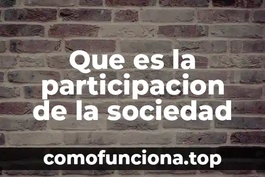 Qué es el poder y la participación política 8 Que es la participacion de la sociedad