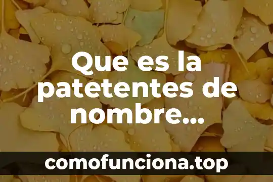 Por que es importante que los elementos quimicos tengan nombre 8 Que es la patetentes de nombre comercial en mexico