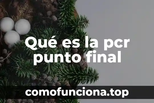 Feria cultural que es 7 Qué es la pcr punto final