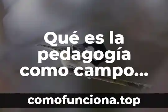 Que significa o que es un gmt en informatica 6 Qué es la pedagogía como campo disciplina