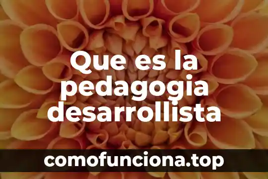 Virtronics que es 5 Que es la pedagogia desarrollista