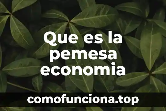 Qué es repuderación en economía 5 Que es la pemesa economia
