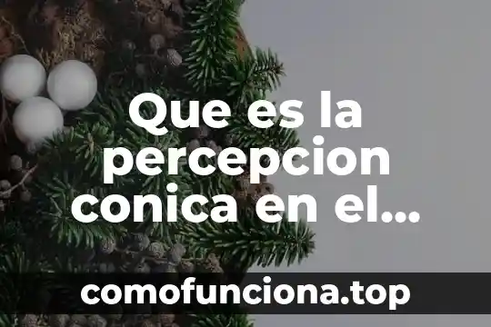 Lo importante del arte primitivo 8 Que es la percepcion conica en el arte