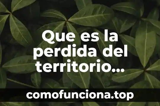 Que es ser mexicano para niños 4 Que es la perdida del territorio mexicano