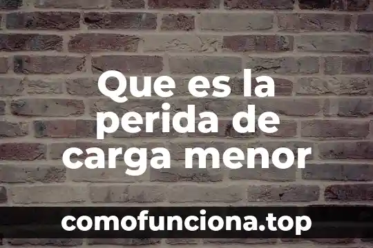 Que es el principio de cuantizacion de la carga electrica 7 Que es la perida de carga menor
