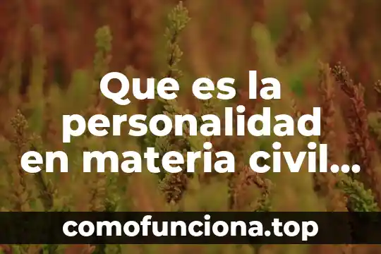 Que es una sociedad civil para el estado de puela 6 Que es la personalidad en materia civil y mercantil