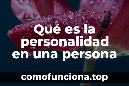 Qué es identidad personal y qué es la personalidad 5 Qué es la personalidad en una persona