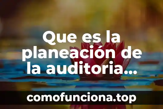 Que es la informática contable administrativa 4 Que es la planeación de la auditoria administrativa