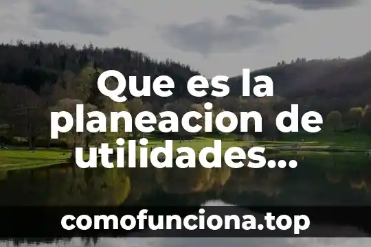 Qué es principio según autores 7 Que es la planeacion de utilidades diferentes autores