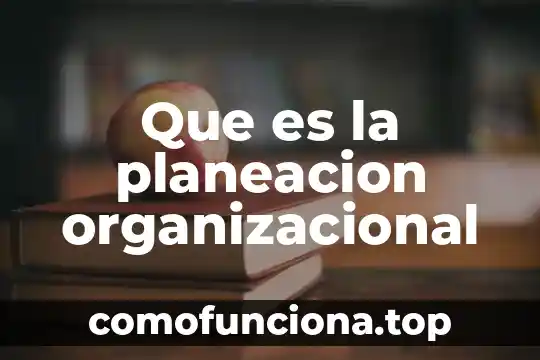 Que es el principio de legalidad en derecho 4 Que es la planeacion organizacional