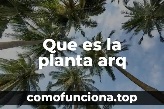 Que es sales up 7 Que es la planta arq