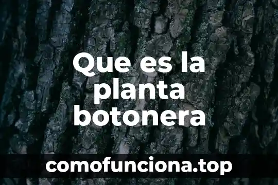Que es la lengua de vaca planta 7 Que es la planta botonera