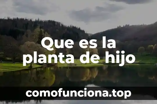 Qué hacer cuando tu hijo te dice que es bisexual 8 Que es la planta de hijo